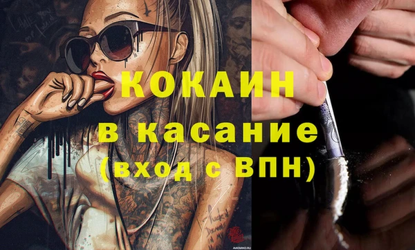 гашик Алексеевка