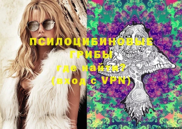 гашик Алексеевка