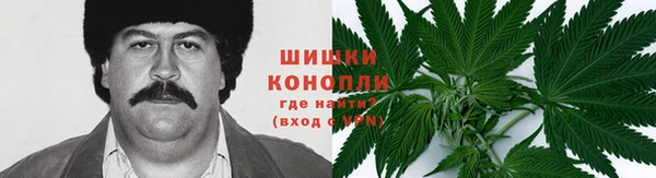 метадон Алексин