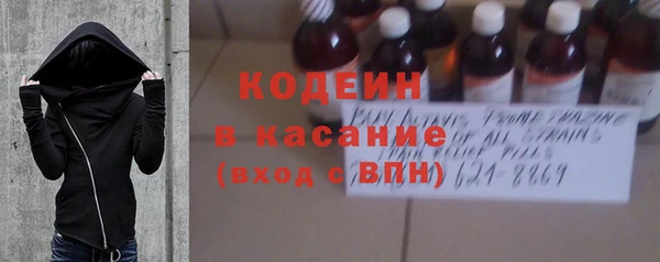 гашик Алексеевка