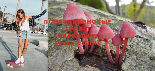 сатива Алзамай