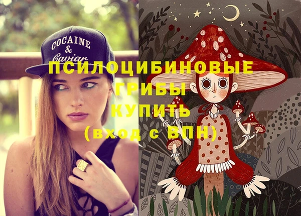 сатива Алзамай