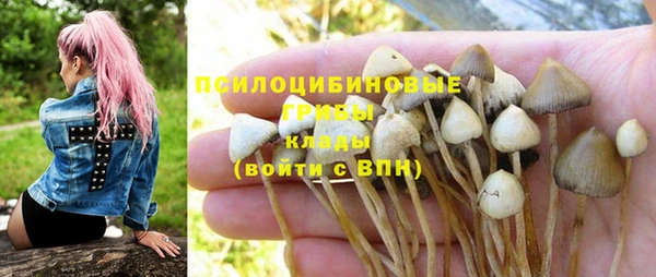 метадон Алексин