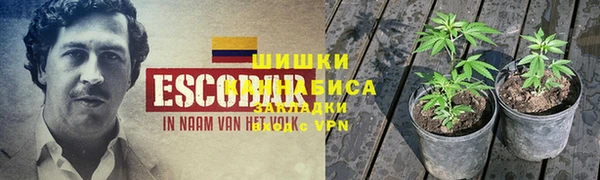 гашик Алексеевка