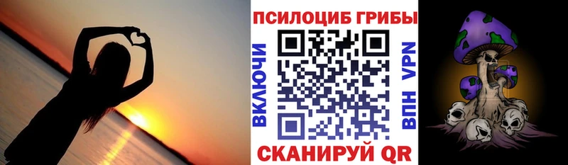 нарко площадка телеграм  Тырныауз  Псилоцибиновые грибы Psilocybe 